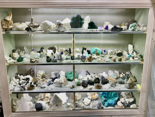 Building A World-Class Specimen
