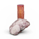 Pink Rubilite Tourmaline on Lepidolite