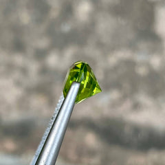 6.75 Carats Fancy Cut Peridot Pair