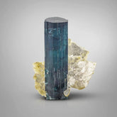 Free Standing Indicolite Tourmaline Crystal on Muscovite from Afghanistan