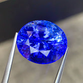 14.11ct Royal Blue Sapphire Fancy Oval