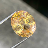 15.67 Ct Certified Padparadscha Sapphire Oval