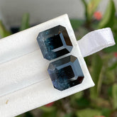 bicolor tourmaline pair