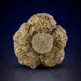 Generations of Pyrite and Marcasite