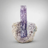 Pink Kunzite Crystal on Albite