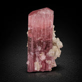 Rubilite Tourmaline Crystal on Albite