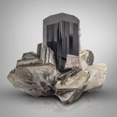 Tourmaline on Muscovite with Garnet