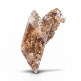 Double Terminated Selenite Crystal