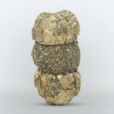 Golden Pyrite on Marcasite Crystals