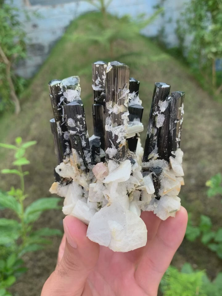 Green Cap Tourmaline On Apatite on Albite