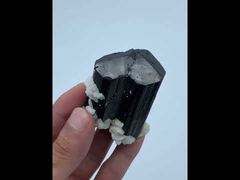 Schorl Tourmaline Crystals with Albite