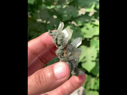 Purchase Cherry Red fine Brookite Crystal on Chlorite Quartz Cluster from Pakistan