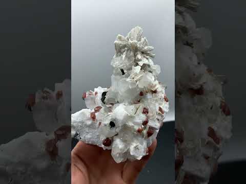 Specimen of Red Hassonite Garnet on Albite with Mica from Pakistan