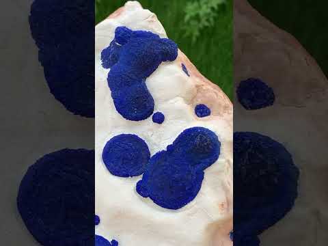 Azurite Crystal on Kaolinite Matrix