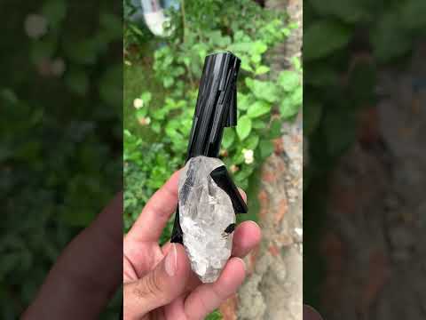 Balck Tourmaline Crystals with Quartz
