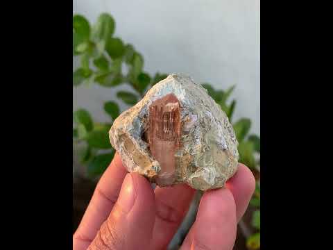 Imperial Topaz Crystal On Matrix