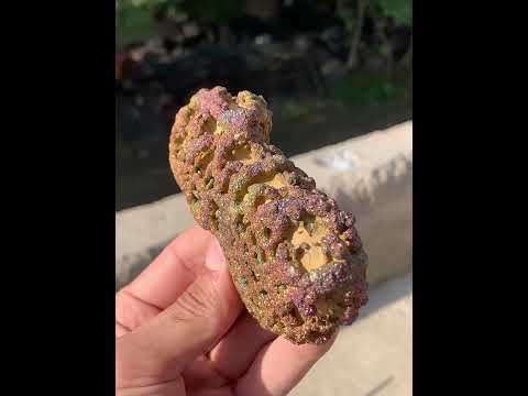 Marcasite Crystals on Lemonite Matrix