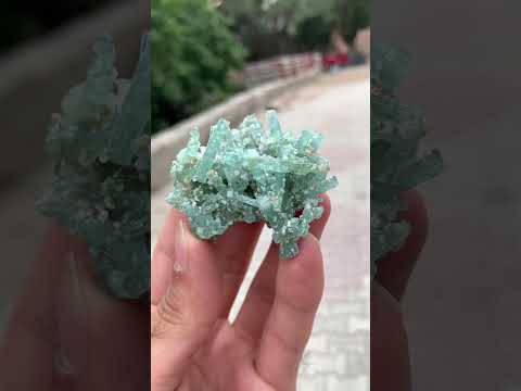 Tourmaline Crystal Cluster with Albite