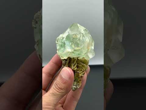 Vibrant Green Intergrown Fluorite Crystals on Muscovite from Pakistan