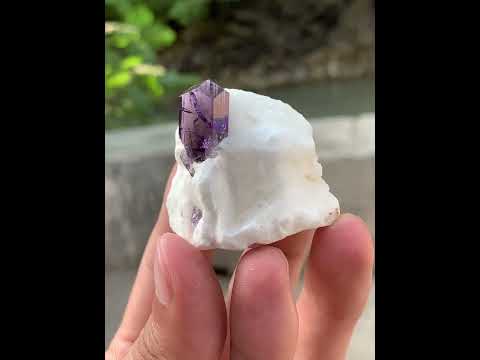 Scapolite on Creamy White Calcite Matrix