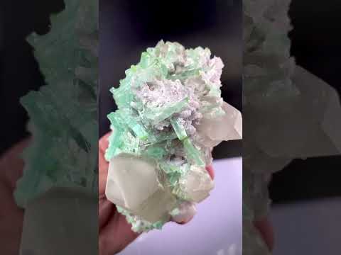Green Cap Tourmaline Crystals on Quartz with Lepidolite from Afghanistan