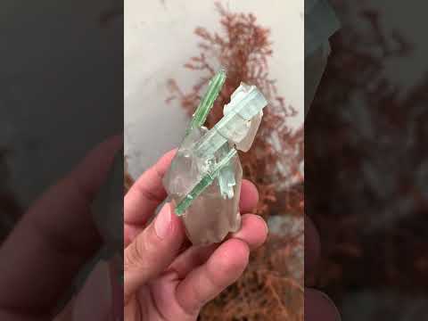 Green Tourmaline Crystals with Quartz