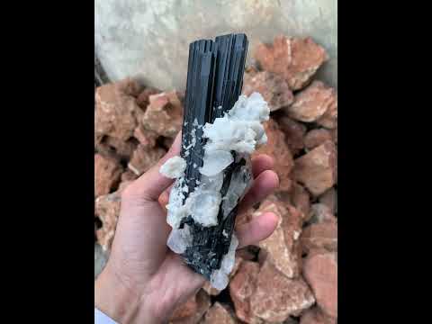 Black Tourmaline with Quartz
