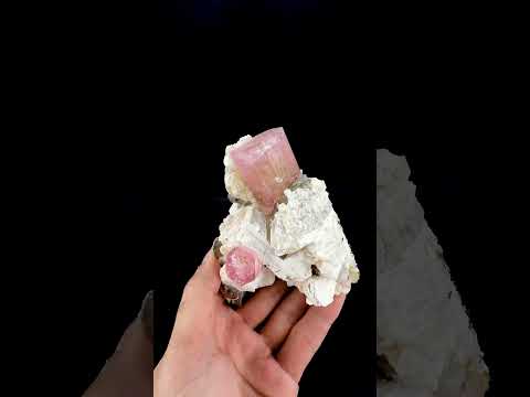 Pink Tourmaline Crystals Positioned on Albite with Smoky Quartz from Afghanistan