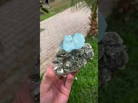 Double terminated Focal Aquamarine Crystals on Muscovite from Pakistan