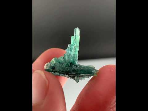Quality Cluster of Natural Tourmaline Crystals from Afghanistan