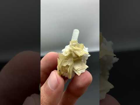 Combination of Aquamarine on Muscovite with Albite from Pakistan