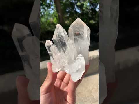 Pointed Terminated Quartz Cluster