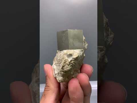 Golden Pyrite Crystal on Marl Matrix