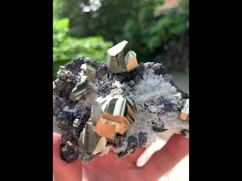 Glamming Golden color Intergrown Pyrite Crystals on Matrix from Pakistan