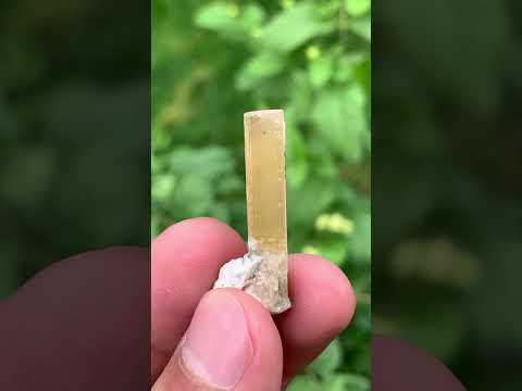Danburite Crystal on Albite Matrix