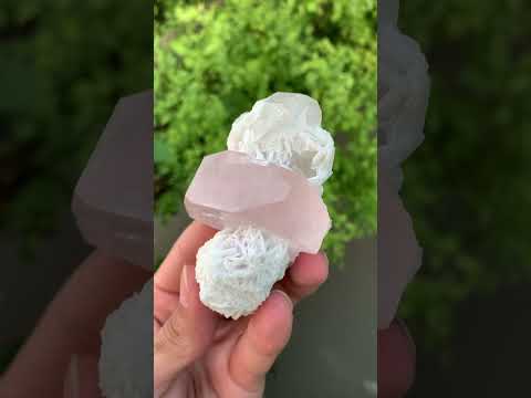 vibrant Pink color Morganite crystal on Cleavelandite from Afghanistan