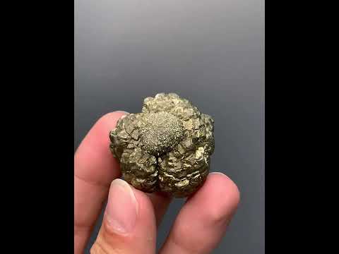 Generations of Pyrite and Marcasite