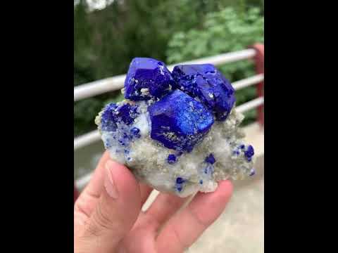 Isometric sapphire blue color Lazurite trio crystals on Calcite with Pyrite from Badakhshan, Afghanistan
