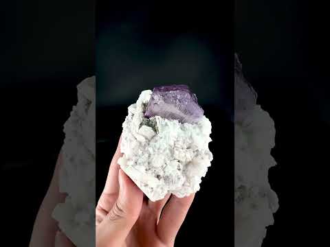 Vibrant Pink Kunzite Crystal Positioned on Top of Albite Matrix from Afghanistan