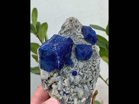 Lazurite Crystals Pyrite On Albite