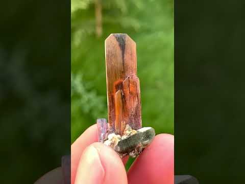 Brookite Crystals On Chlorite Quartz