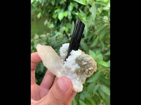 Schorl on Albite with Quartz & Mica