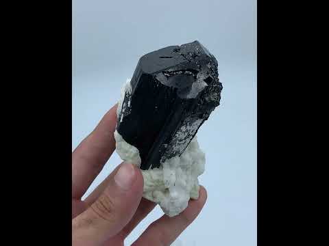 Black Tourmaline Crystals with Albite