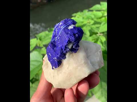 Lazurite Crystals On Calcite Matrix