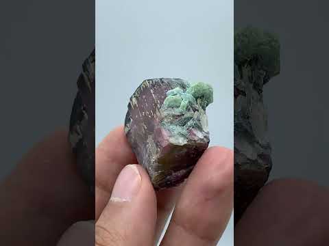 Vorobyevite Crystals on Tourmaline