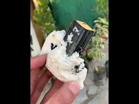 Schorl Black Tourmaline with Albite