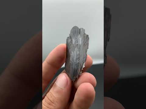 Blood Red Brookite Crystal On Quartz