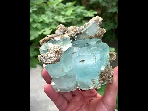 Aquamarine Crystals On Muscovite