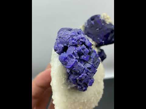 Lazurite Crystals On Calcite & Pyrite