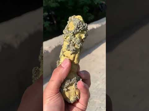 Pyrite Crystals on Lemonite Matrix